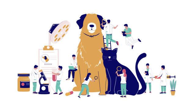 寵物醫療 Veterinary clinic services, vector flat illustration. Huge dog and cat, tiny characters vets with syringe, microscope, magnifying glass. Veterinarian pet checkup, animal treatment, medical pet care.