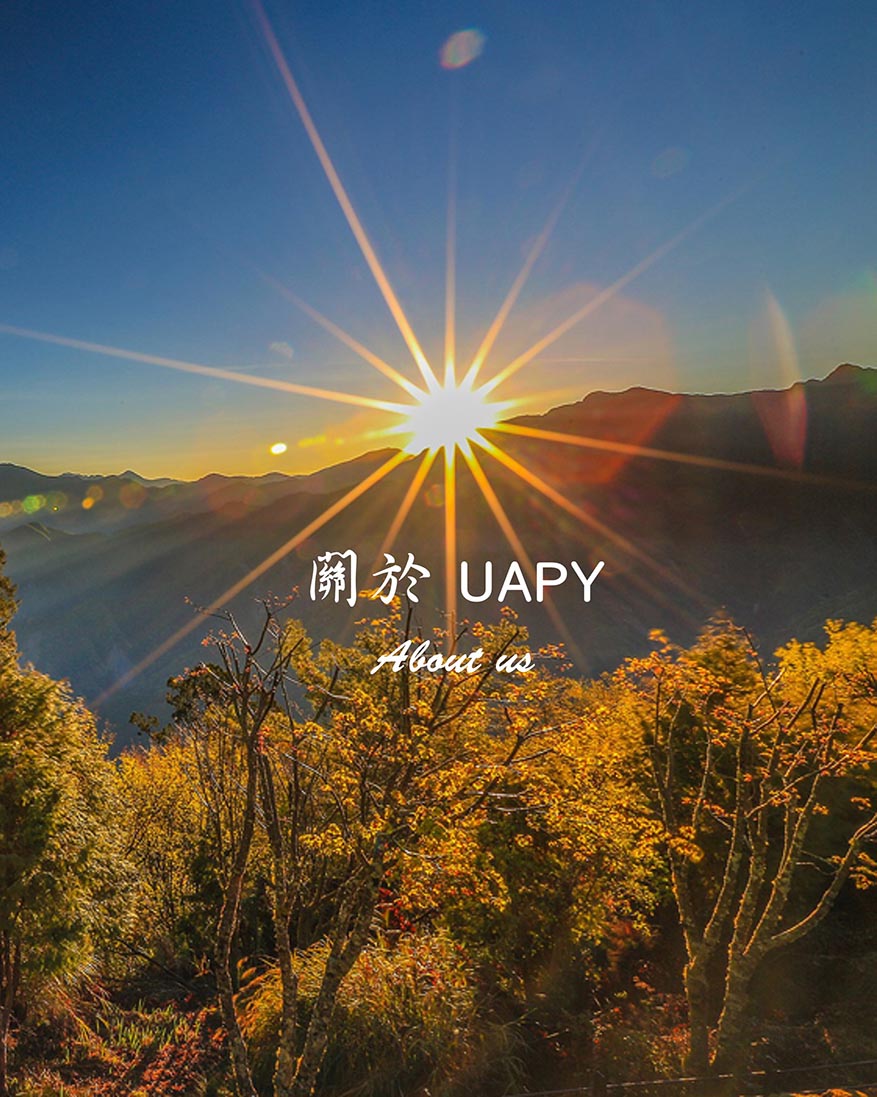 關於UPAY(再縮小) 關於UPAY(再縮小)